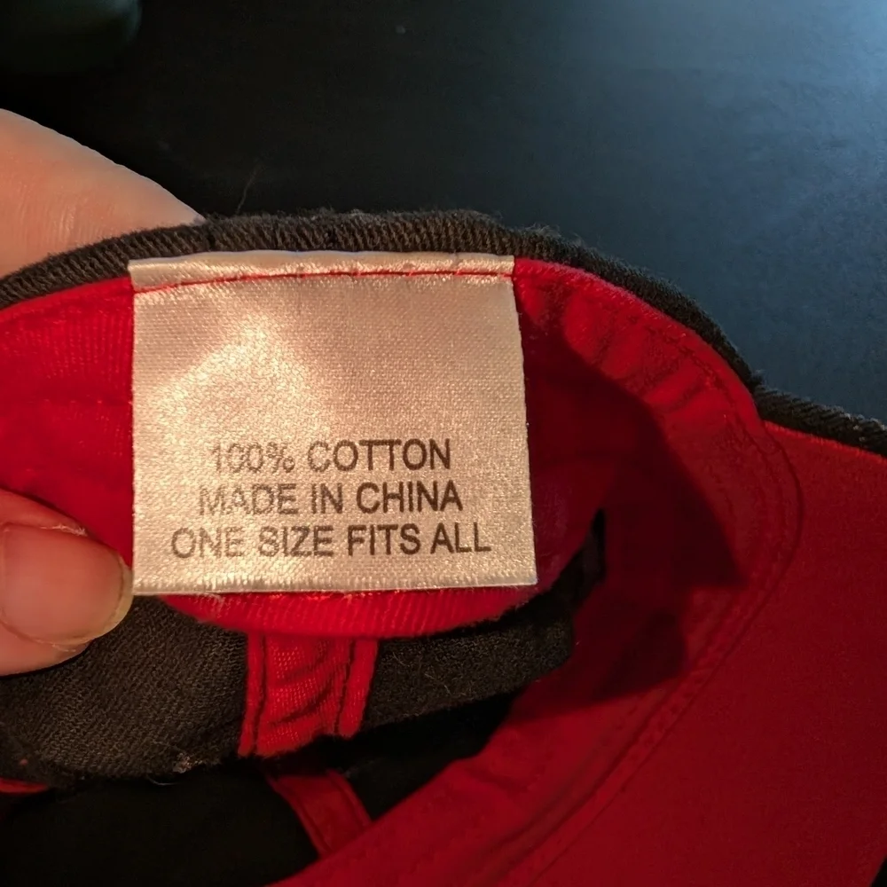 Georgia Dawg Hat